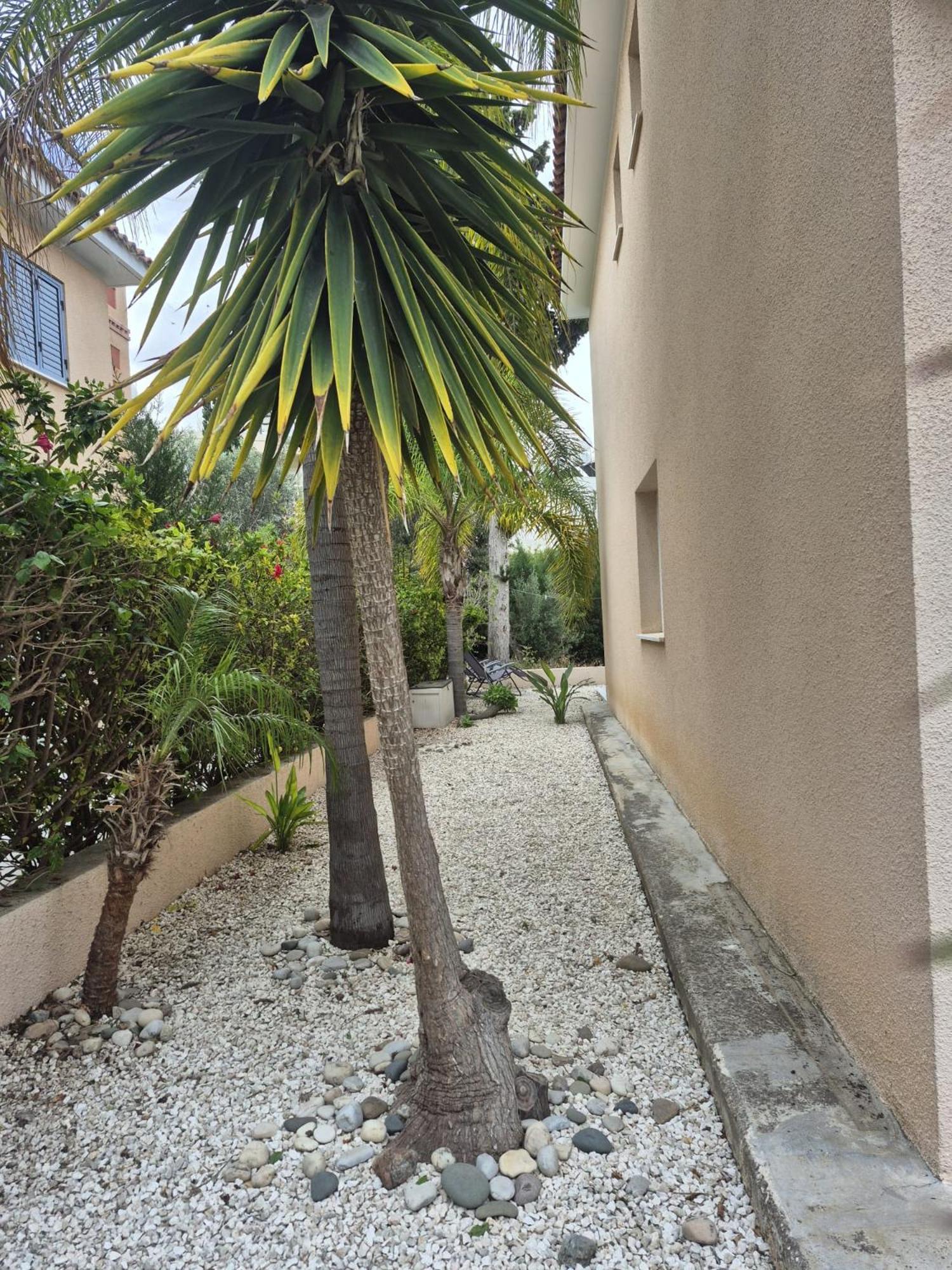 Casa Del Sol Townhouse In Iris Village Pafos Zewnętrze zdjęcie